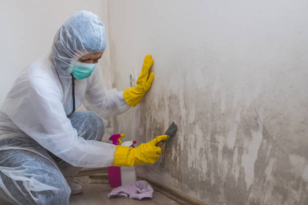 Best Forensic Mold Investigation  in Wahpeton, ND